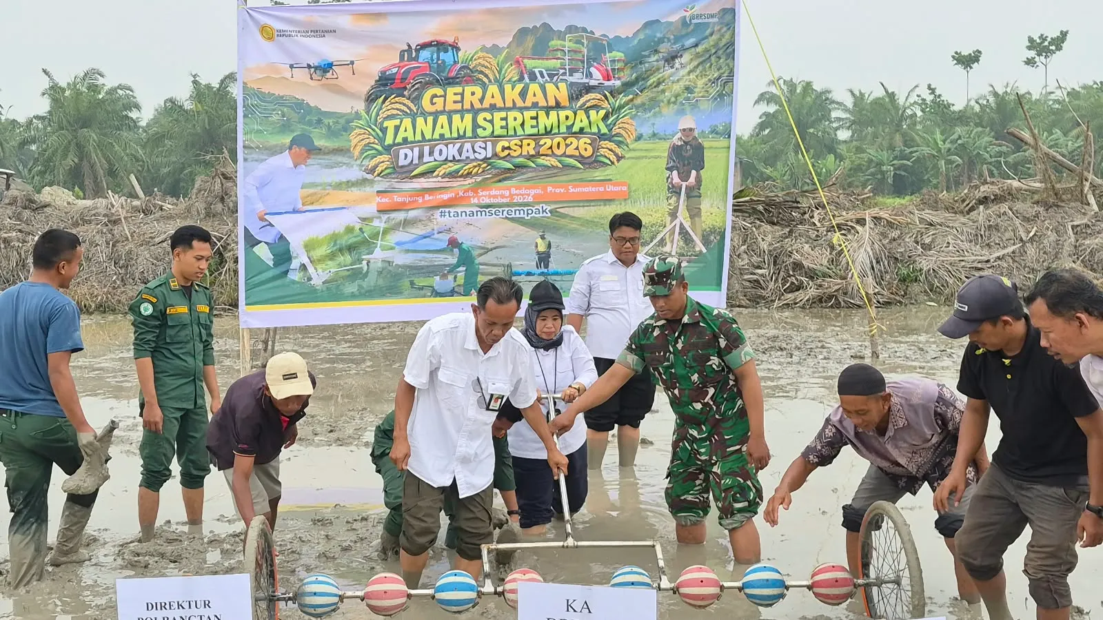 Kementan Lakukan Gerakan Tanam Serempak di Lahan CSR Serdang Bedagai