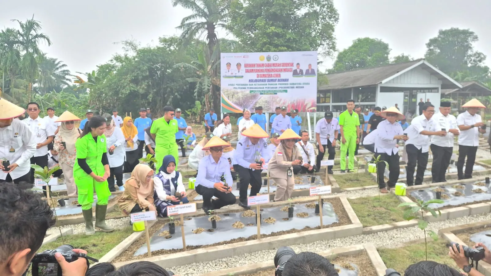 Polbangtan Kementan Bersama Pemprov Sumut Gelar Gertam Cabai Serentak dan Luncurkan Kampus Mandiri Pangan