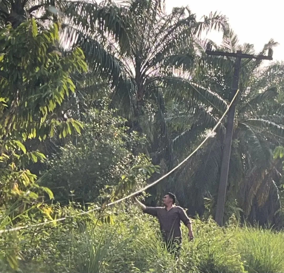 Banyak Kabel PLN Kendor dan Tiang Miring Ancam Keselamatan Warga Paluta