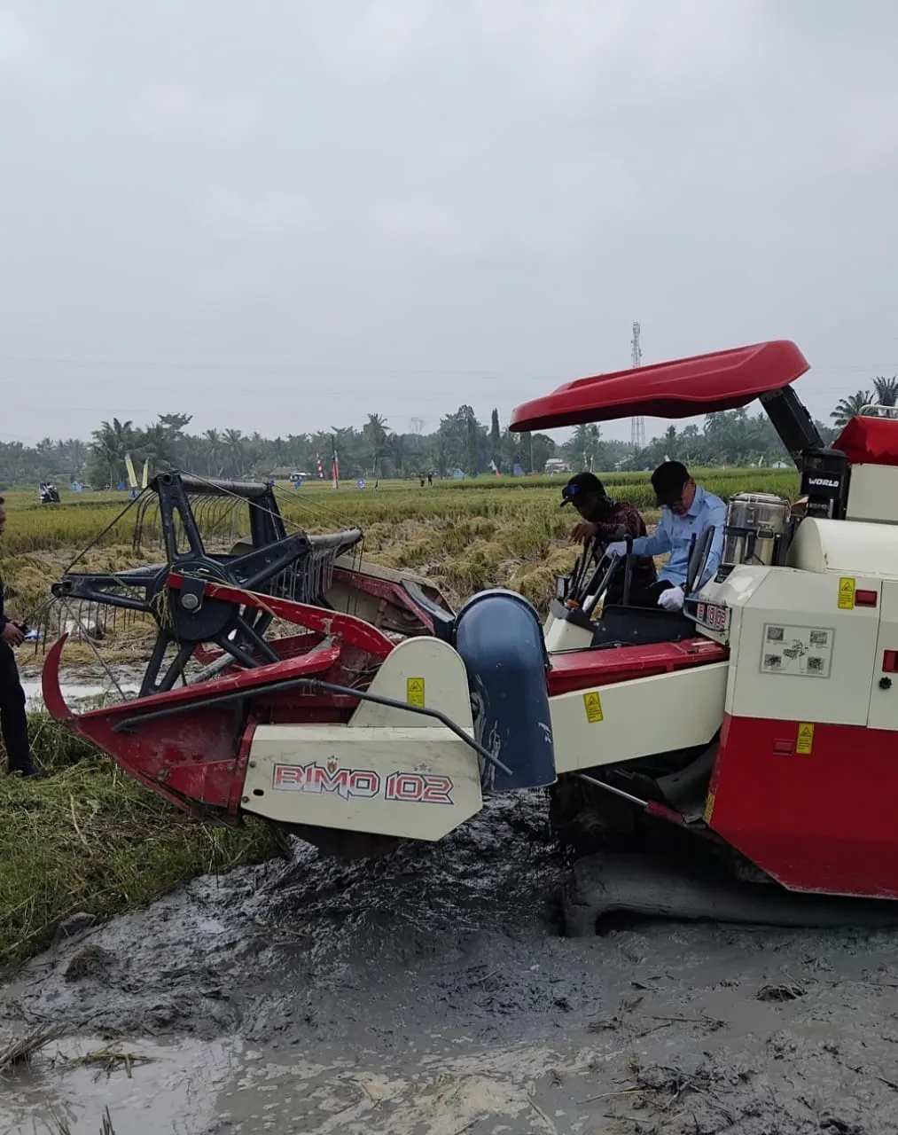 Menko Zulhas Bersama Bupati Batubara Bahar Hadiri Panen Raya Program Swasembada Pangan