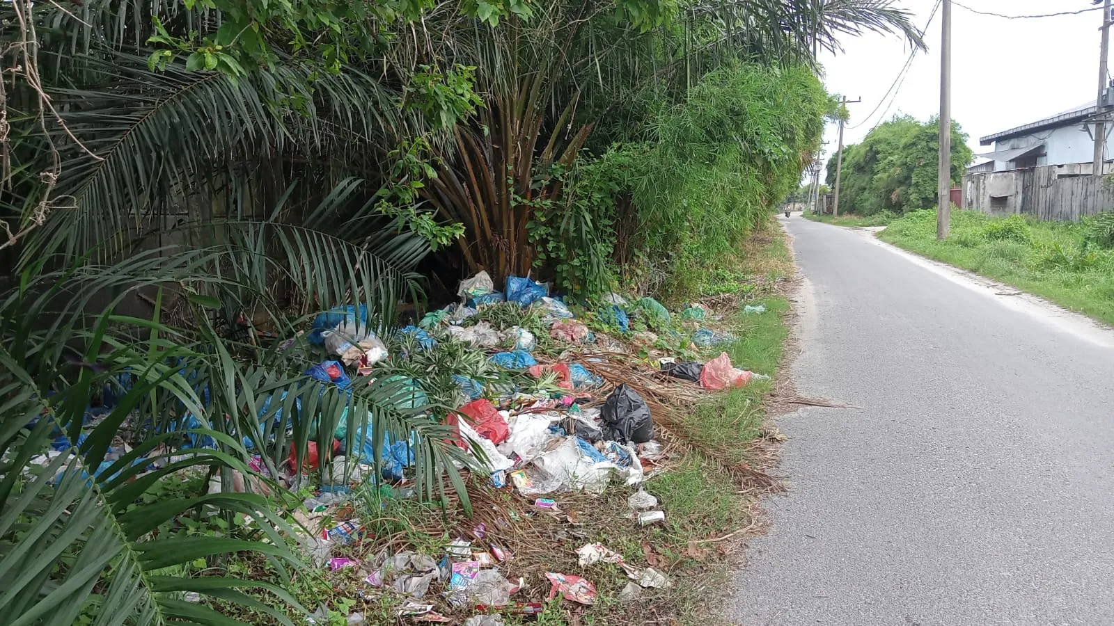 Tumpukan Sampah Ganggu Pengunjung Pantai Monyet di Pantai Labu