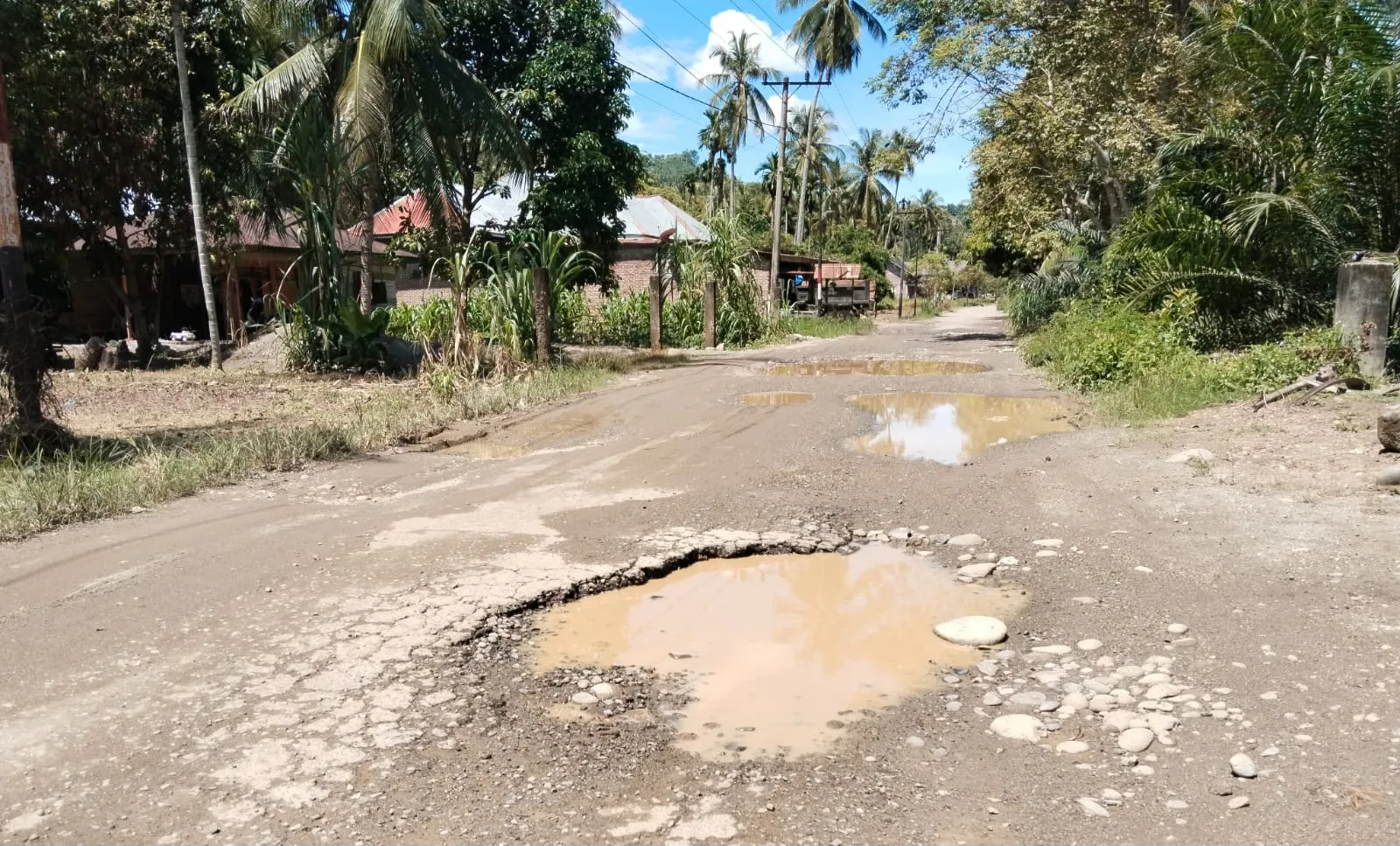 Jalan Penghubung Teupin Mane Rusak Parah, Warga dan Petani Desak Pemkab Perbaiki