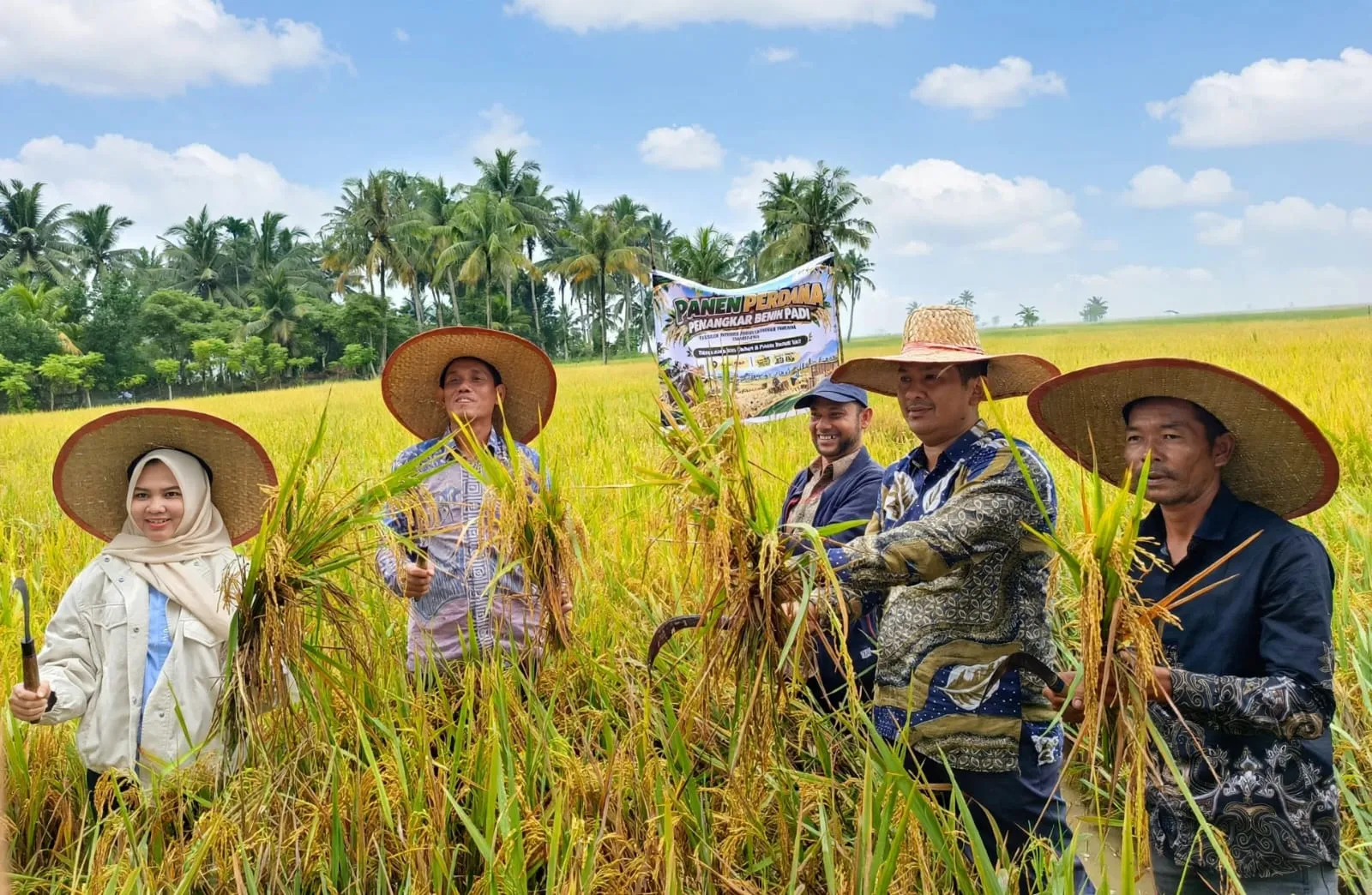 Gampong Cinta Raja Panen Perdana Penangkaran Benih Padi, Pemko Langsa: Dorong Kemandirian Petani