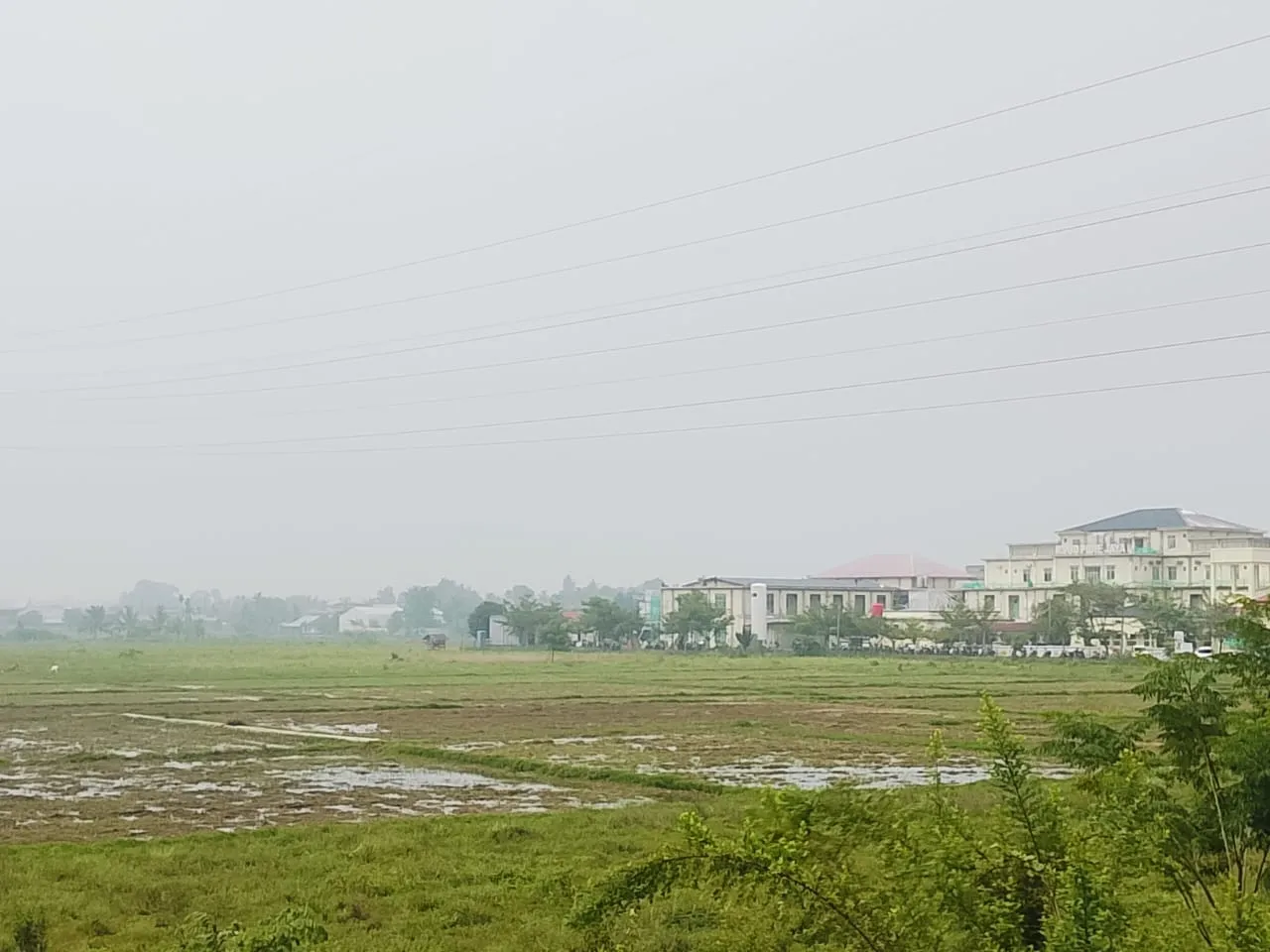 Kabut Asap Ganggu Jarak Pandang di Pidie Jaya