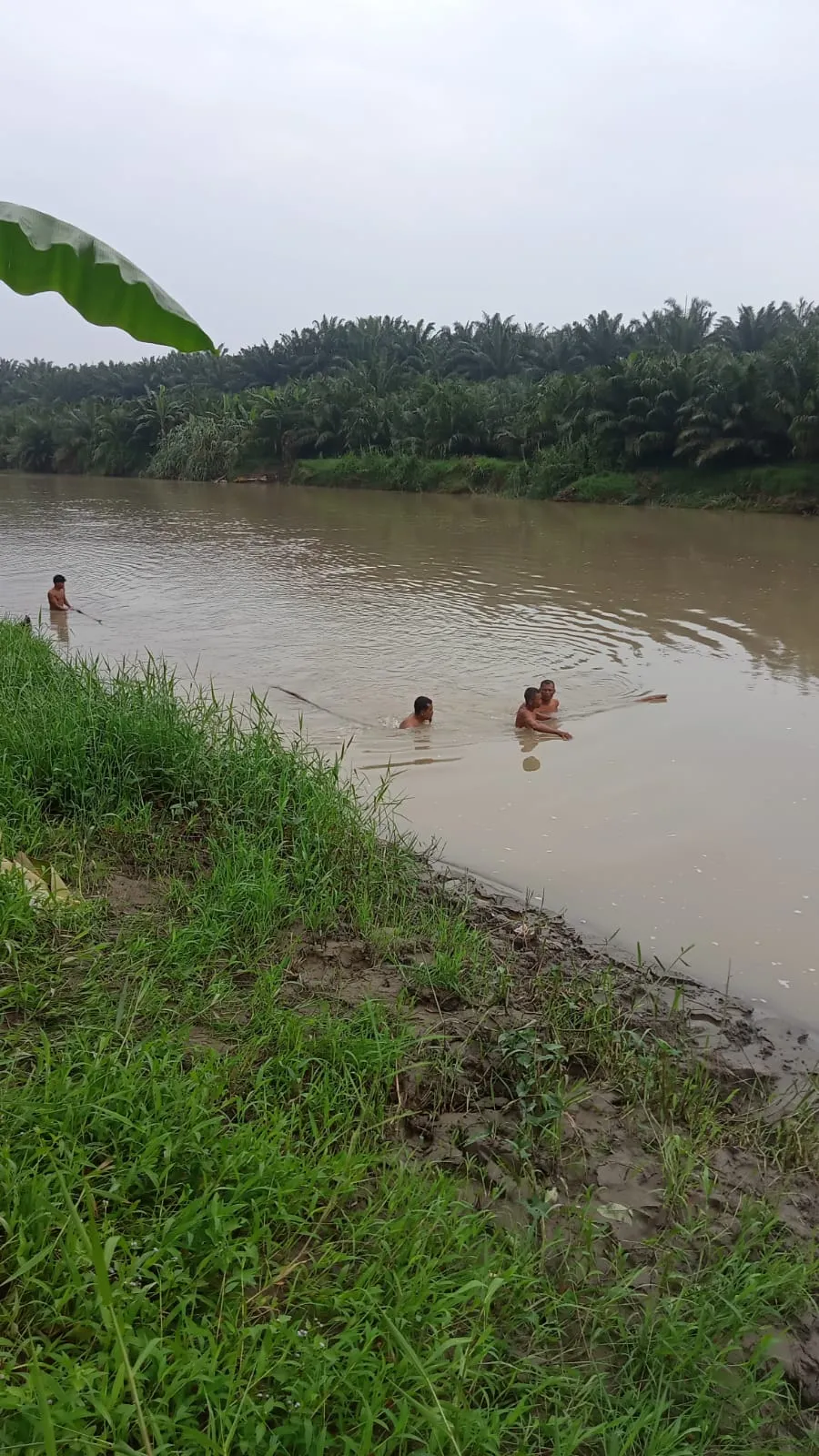 Ibu Muda Tenggelam di Sungai Ular, Pantai Labu