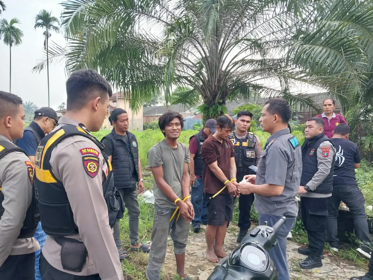 OSN Di Sunggal, BNNP Sumut, Dit Narkoba, Brimob dan Satpol PP Hancurkan Barak Narkoba