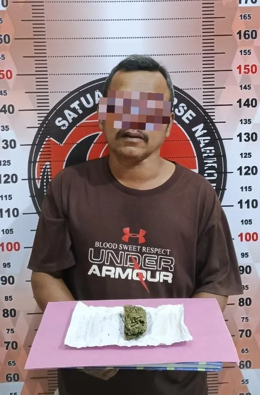 Polisi Amankan Pria Bawa 10 Gram Ganja di Lawe Sigala-gala