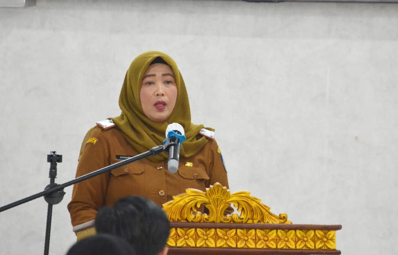Kabut Asap Tidak Sehat, Pemko Langsa Alihkan Sekolah ke Daring Sepekan