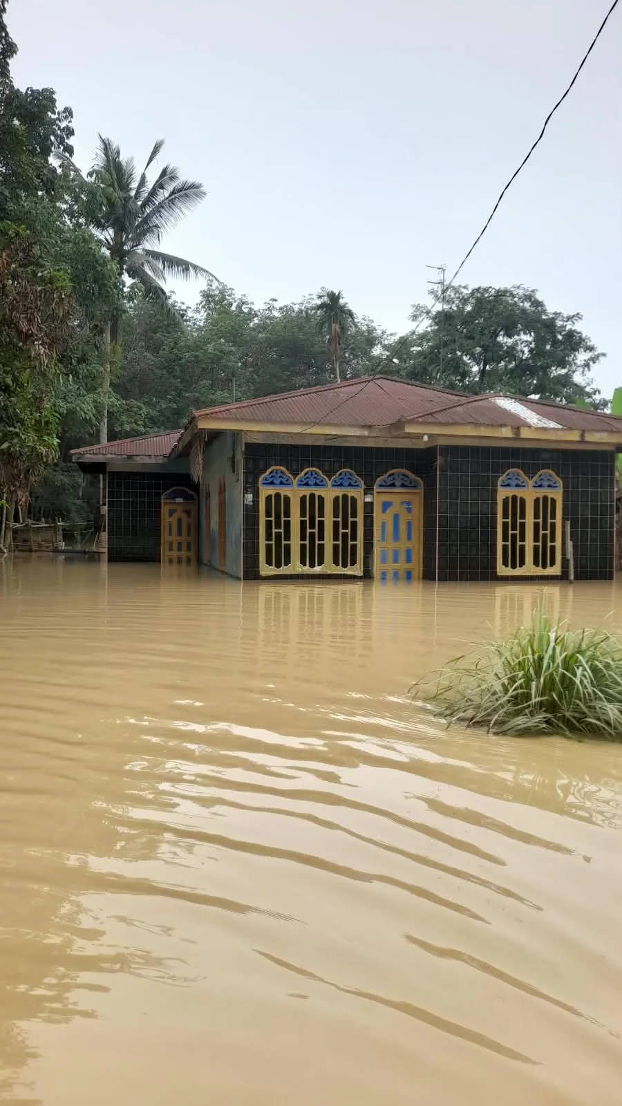 Banjir Kembali Kepung Desa Sekoci, Warga Berteriak Meminta Agar Sungai Dinormalisasi