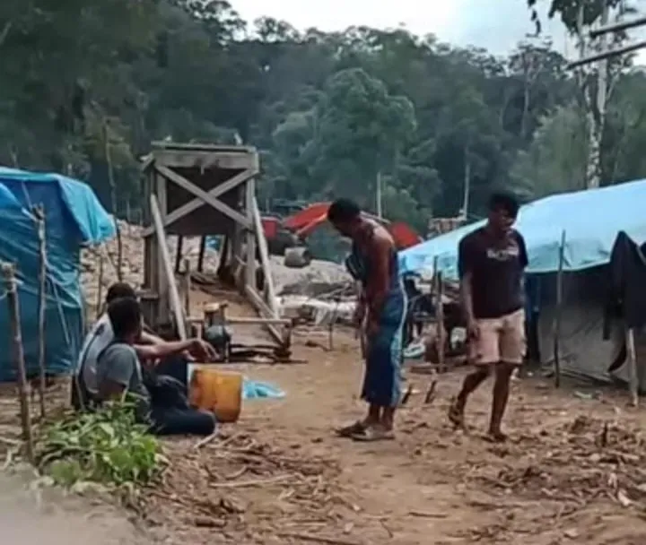 Wilayah TNBG di Mandailing Natal Dijarah Penambang Ilegal