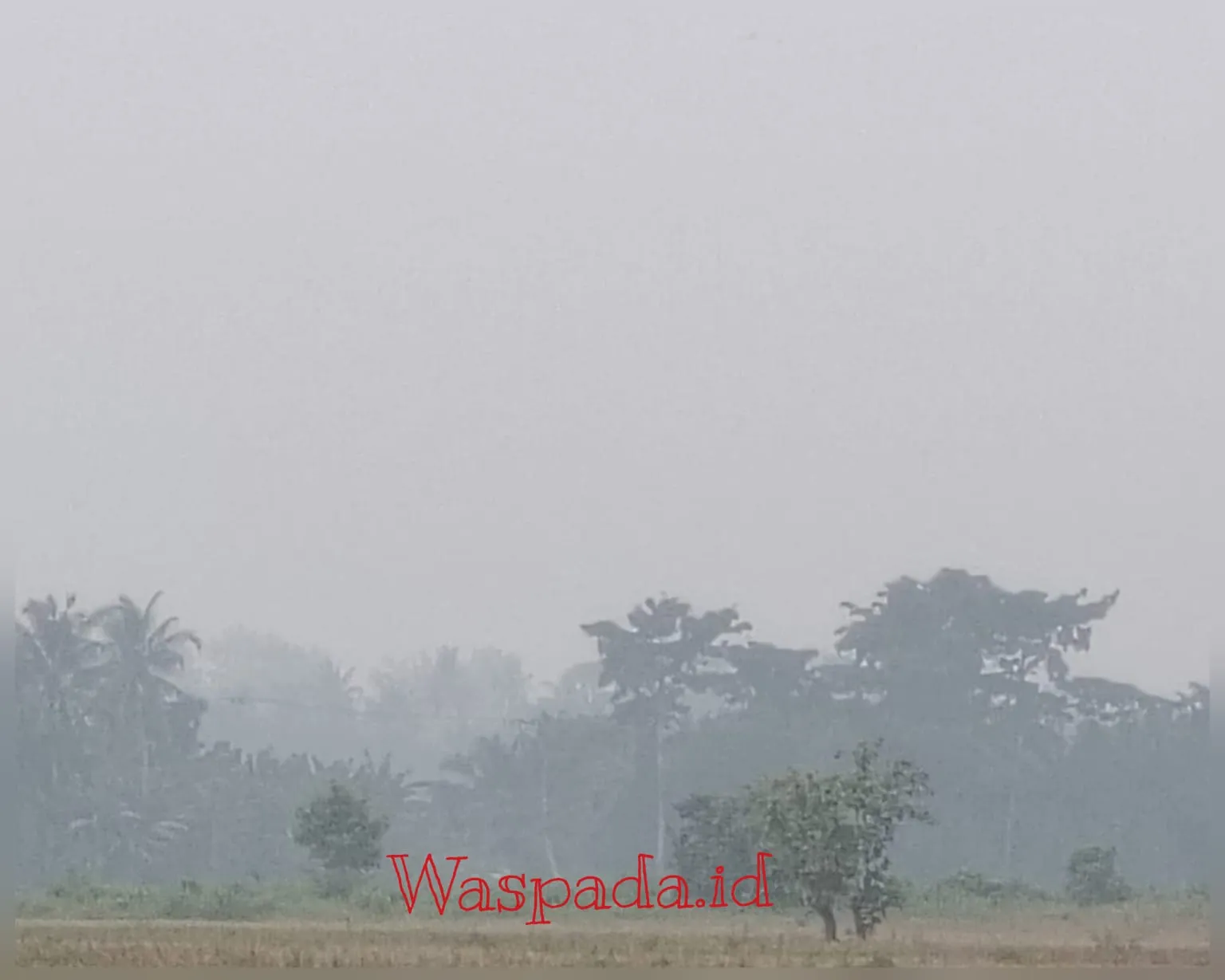 Kabut Asap Karhutla Ganggu Jarak Pandang di Sergai