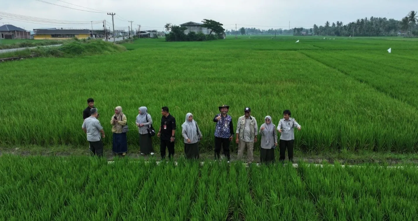 Satgas PRR Percepat Pemulihan Lahan Sawah Pascabencana di Bireuen