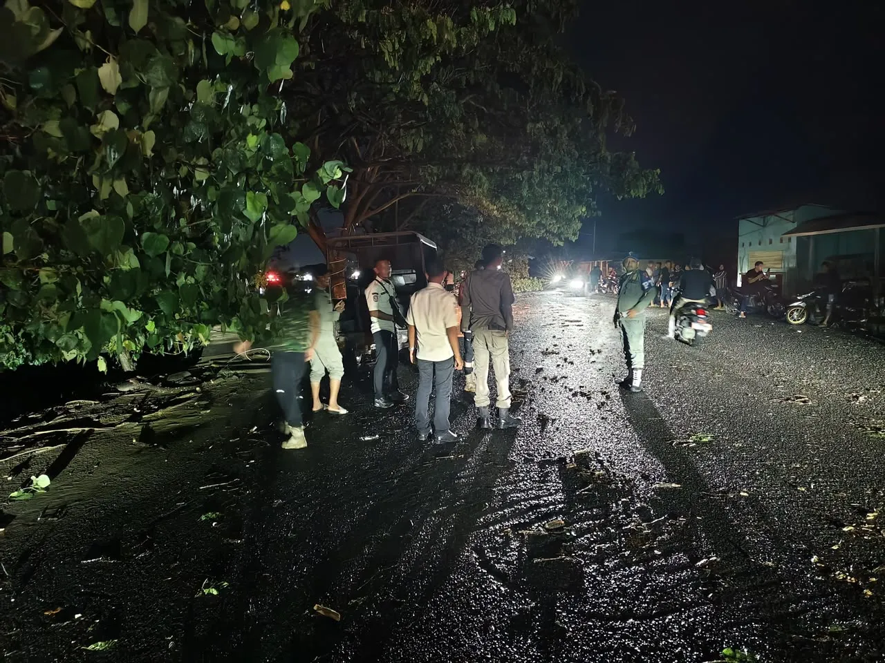 Hujan dan Angin Kencang Lhokseumawe Tumbangkan 30 Pohon, Rusak 27 Kios dan 1 Rumah