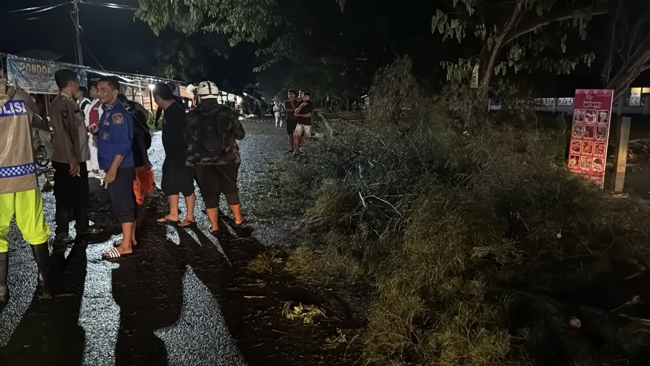 Hujan dan Angin Kencang Lhokseumawe Tumbangkan 30 Pohon, Rusak 27 Kios dan 1 Rumah