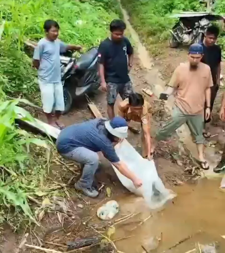 ​Sinergi Warga Dan Tokoh Masyarakat, Bibit Ikan Air Tawar Dilepas di Danau Bendungan Lau Simeme