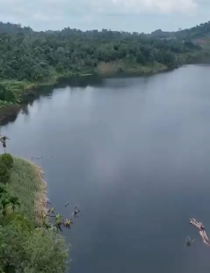 ​Sinergi Warga Dan Tokoh Masyarakat, Bibit Ikan Air Tawar Dilepas di Danau Bendungan Lau Simeme