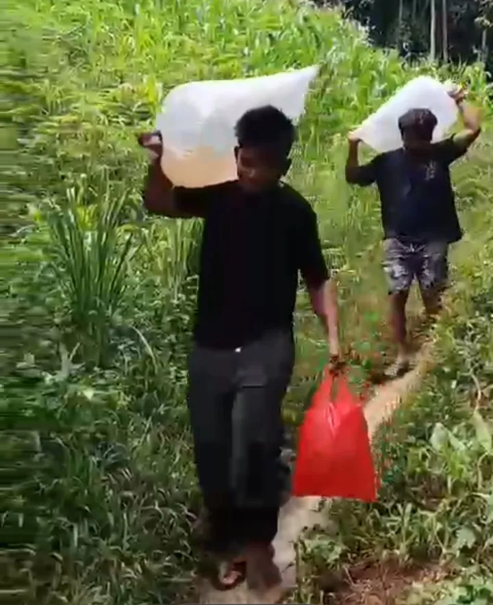 ​Sinergi Warga Dan Tokoh Masyarakat, Bibit Ikan Air Tawar Dilepas di Danau Bendungan Lau Simeme