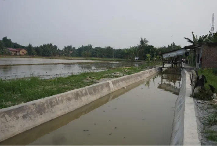TKD Tambahan Untuk Rehabilitasi Irigasi Wono Sari, 3.000 Hektare Sawah Diharapkan Bebas Banjir