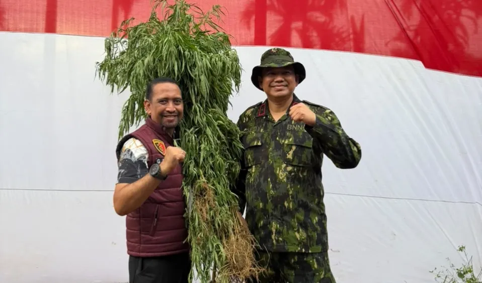 Polda Aceh Berhasil Ungkap 18 Hektare Ladang Ganja di Aceh Utara
