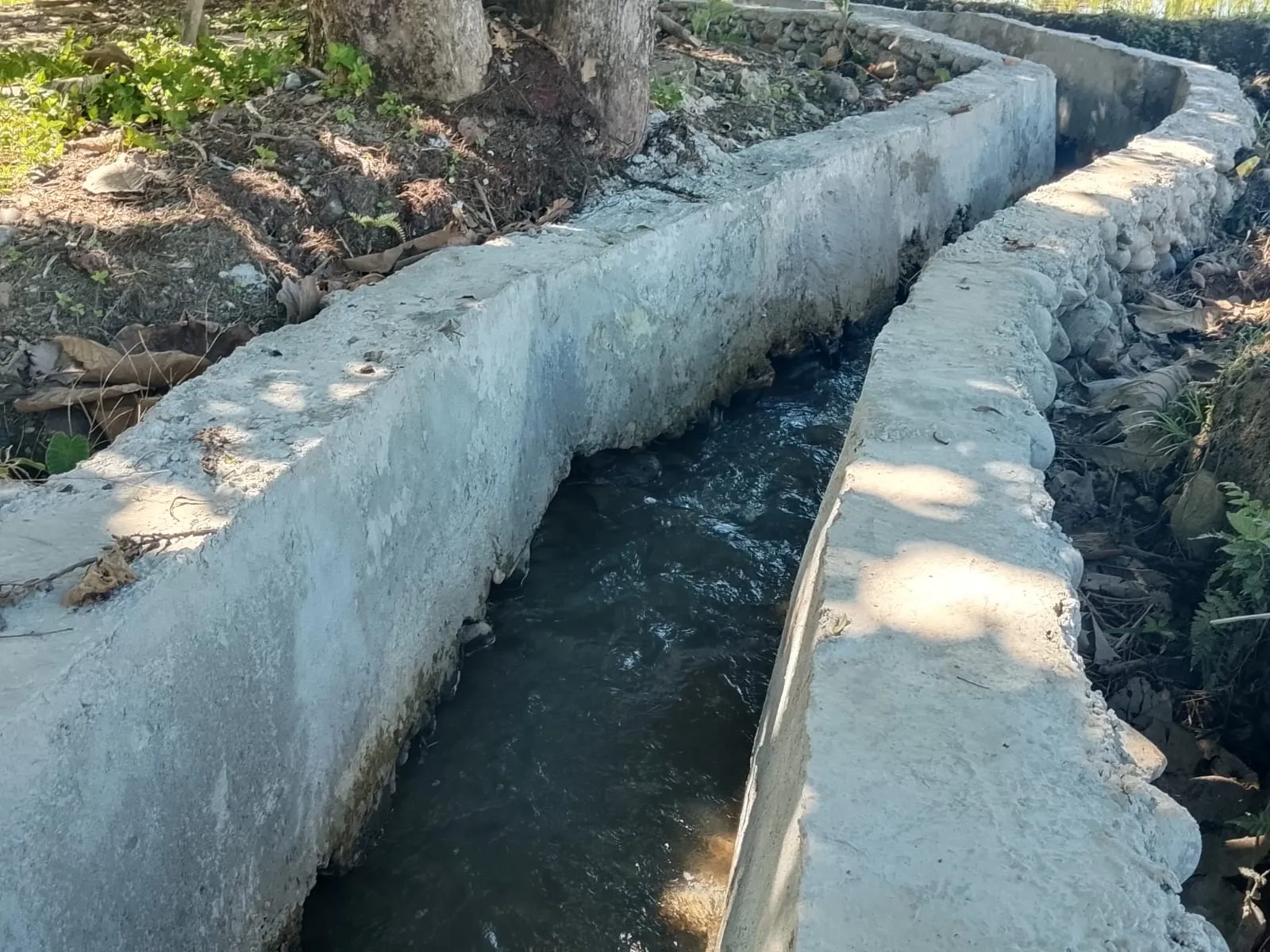 Proyek P3TGAI Aceh Tenggara Dituding Sarat Masalah, Kelompok Tani Hanya Terima "Sewa Kelompok"