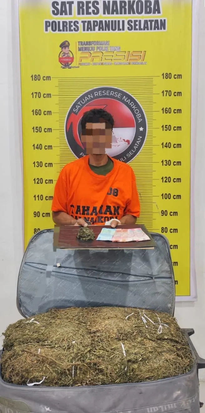 Polres Tapsel Sita 15 Kg Ganja di Sayur Matinggi, Pria Asal Madina Diamankan