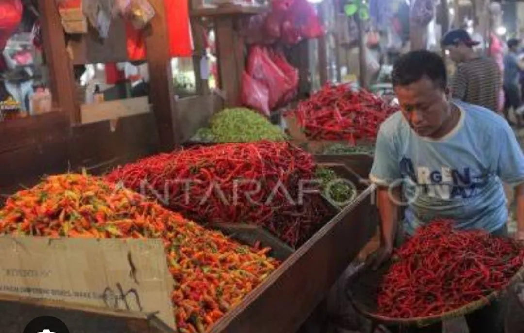 Cabai Rawit Makin Pedas Beri Andil Ke Inflasi Jadi 3,28 Persen YOY