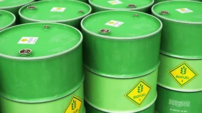 Ekspor CPO Terancam Susut 4 Juta Ton, GAPKI Minta Sawit untuk Biodiesel Lebih Fleksibel