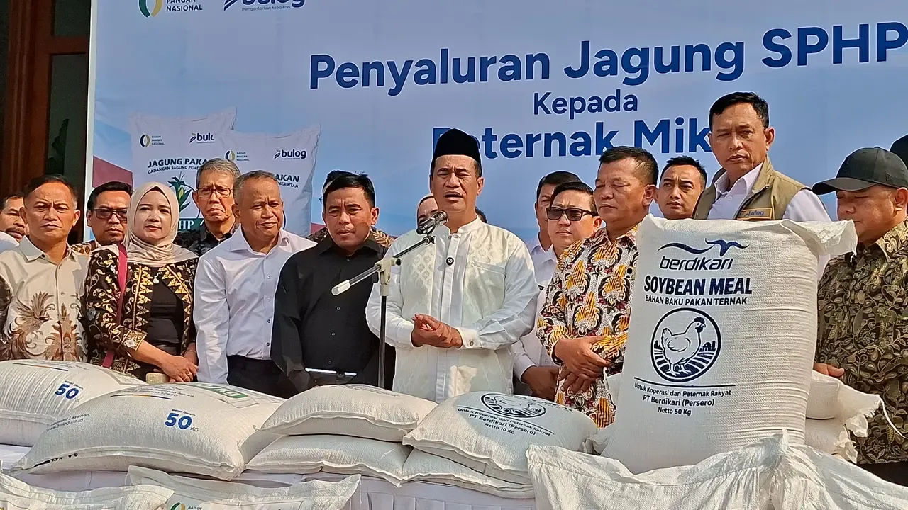 Mentan Siapkan Anggaran Rp600 Miliar untuk Benih Jagung Gratis