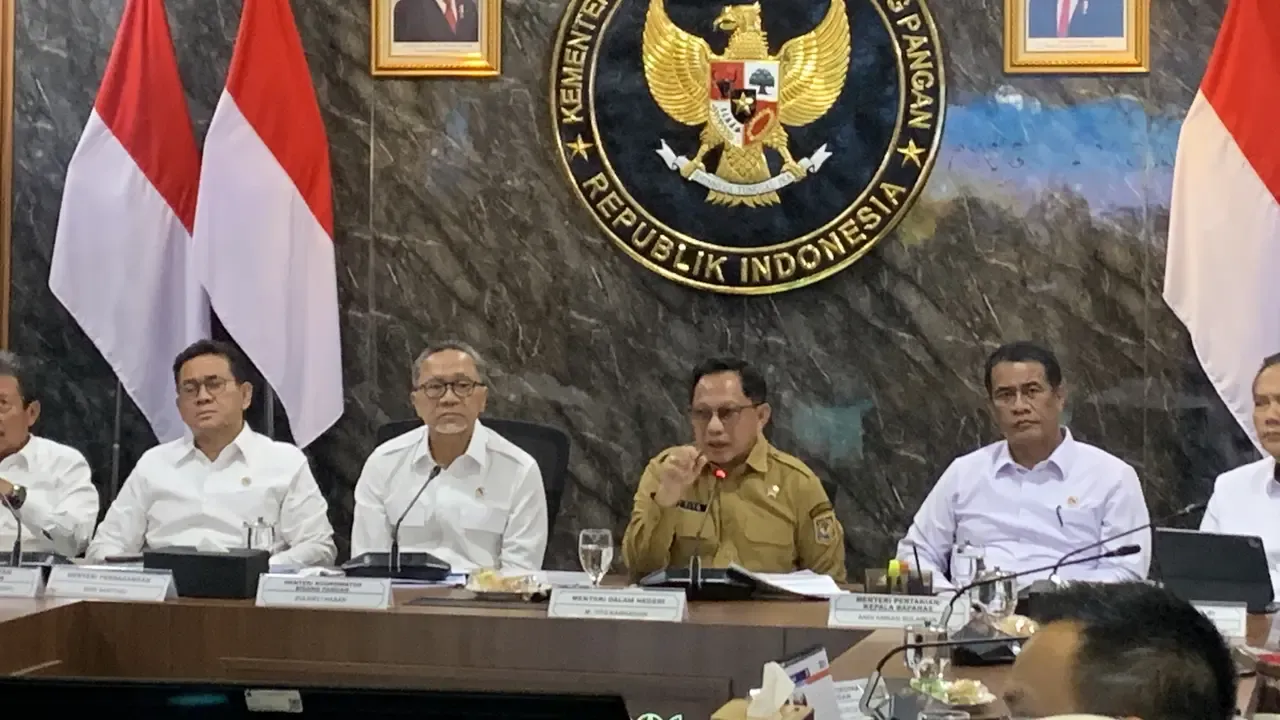Tekan Inflasi Nataru, Mendagri Usul Subsidi Listrik, BBM, dan Tiket Pesawat