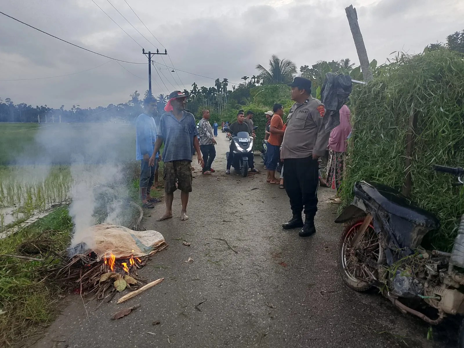 Pohon Tua, Langit Senja, dan Perjalanan Terakhir Seorang Petani