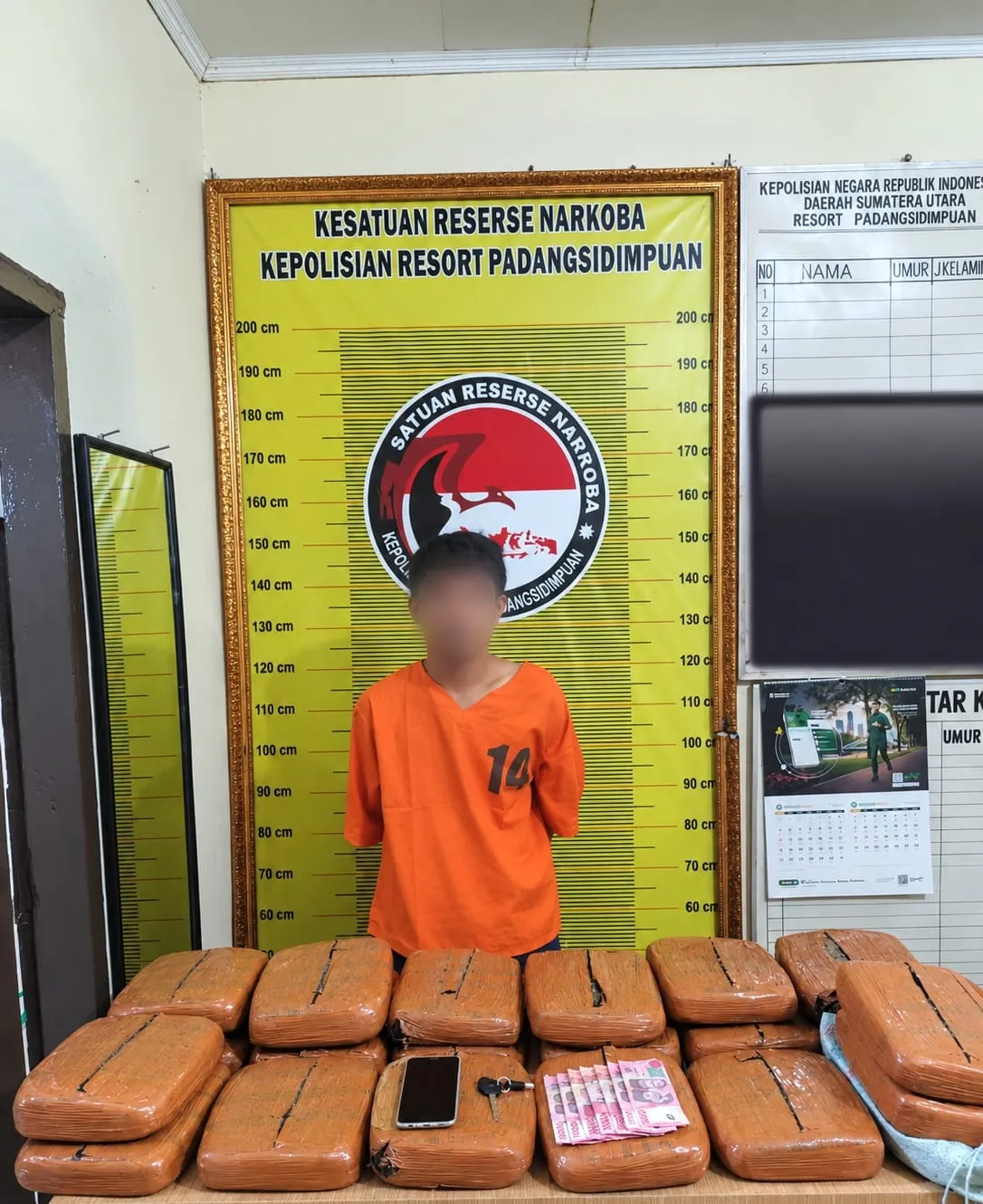 Bawa 20 Kg Ganja, Pria Asal Sipirok Ditangkap Satresnarkoba Padangsidimpuan
