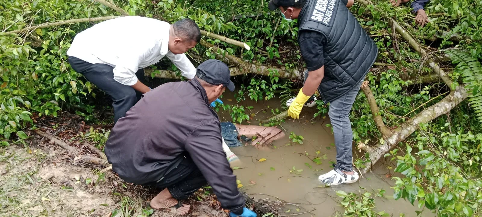 Mayat Pria Ditemukan Dalam Parit Kebun Sawit