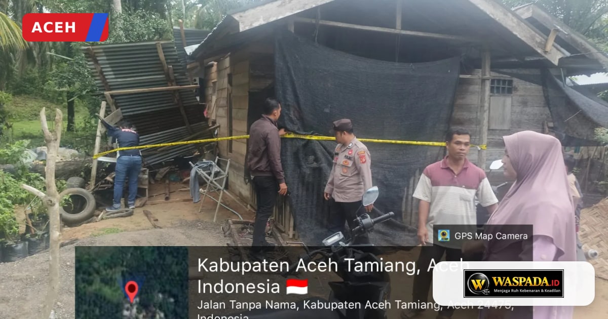 Sign Waspada Balita 4,5 Tahun Meninggal Tertimpa Pohon Tumbang | Waspada