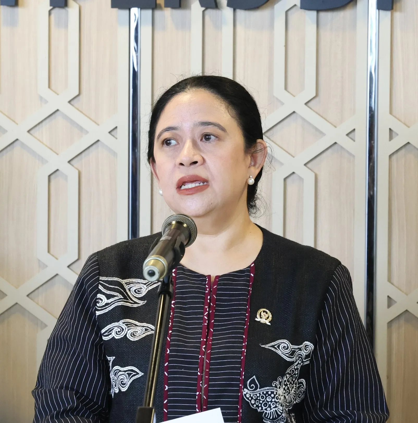 Puan Minta Pemerintah Perkuat Perlindungan Warga Terdampak Karhutla
