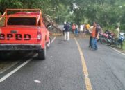 Pohon Tumbang Di Agara Sempat Terganggu Arus Lalulintas