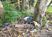 Adik Pukul Abang Kandung Pakai Gagang Kampak Hingga Tewas