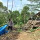 Berbulan-bulan, Gajah Obrak Abrik Lahan Perkebunan Di Atim