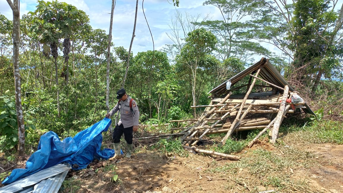 Berbulan-bulan, Gajah Obrak Abrik Lahan Perkebunan Di Atim