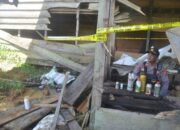 BKSDA Aceh: Gajah Mati Akibat Konsumsi Pupuk