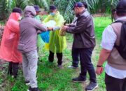 60 Orang Diperiksa Terkait Kasus Mafia Tanah Langkat