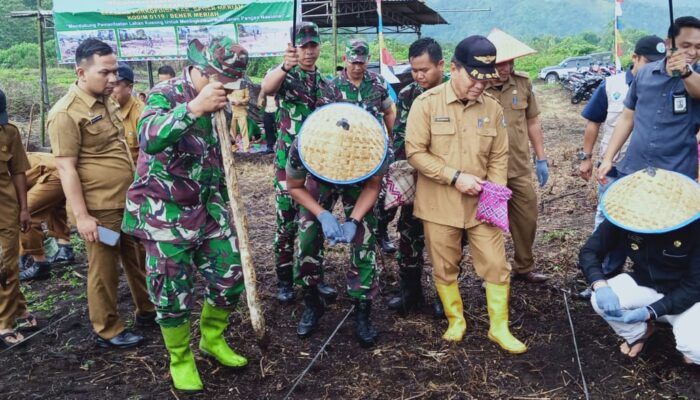 Perkuat Ketahanan Pangan, Dandim 0119/BM Bersama Pj Bupati Tanam Jagung