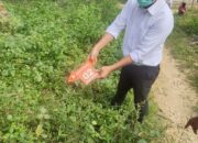 Karyawan Nafasindo Meninggal Tersengat Listrik