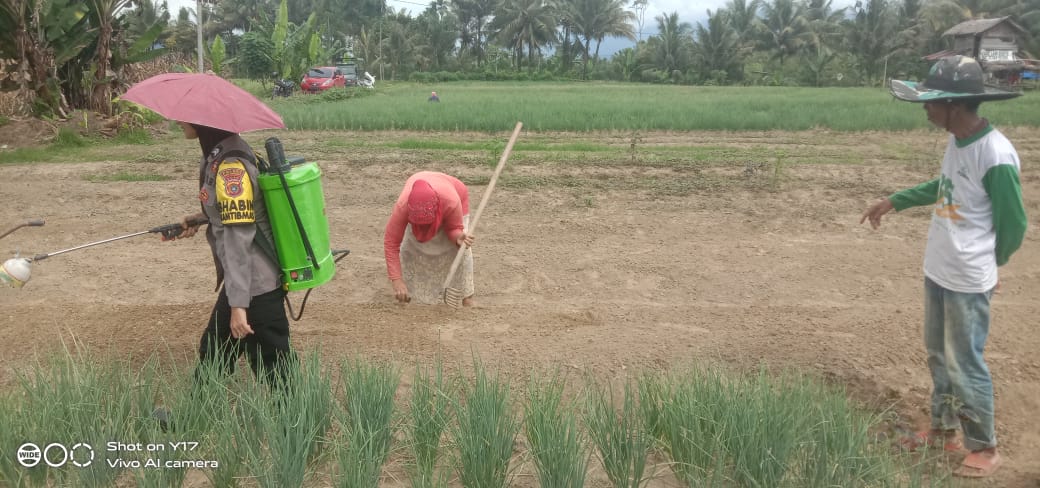 Polri Ajak Warga Agara Menanam Bawang Merah