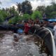 Budidaya Vaname Sistem Bioflok Mon Jaya Panen 8 Ton Udang