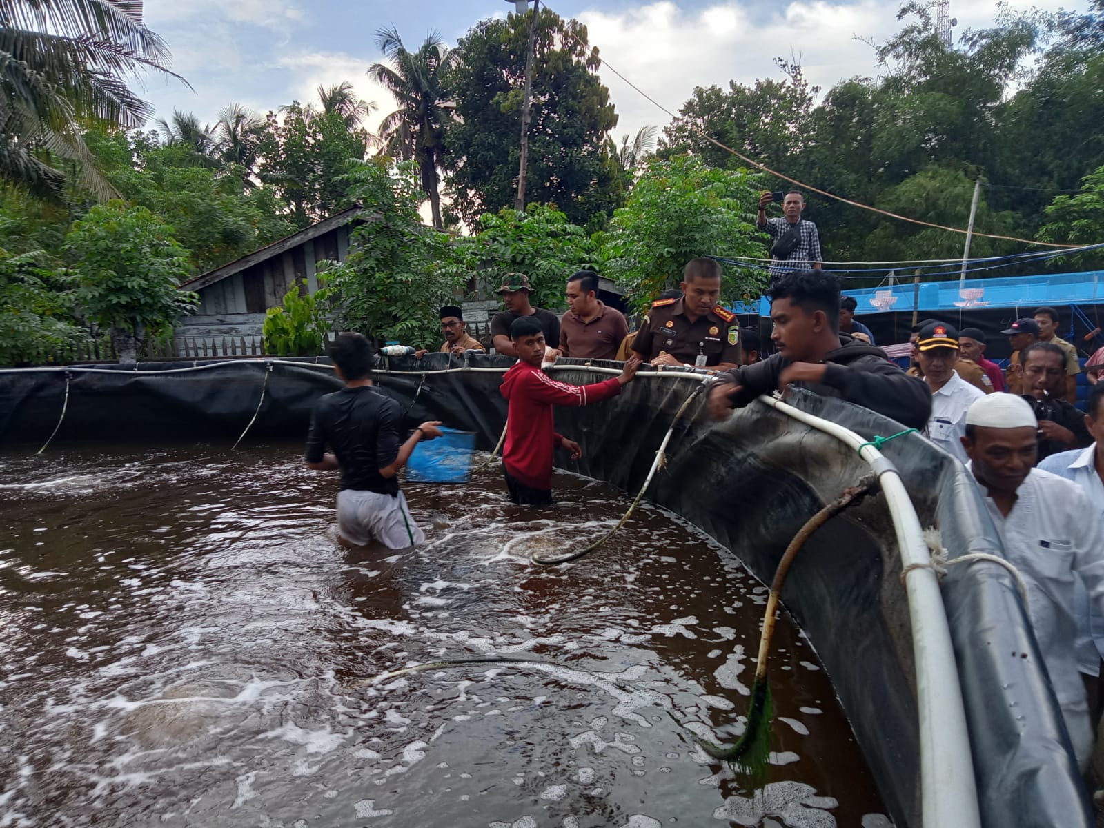 Budidaya Vaname Sistem Bioflok Mon Jaya Panen 8 Ton Udang