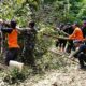 Aksi Cepat Brimob Bersihkan Longsor Dan Pohon Tumbang