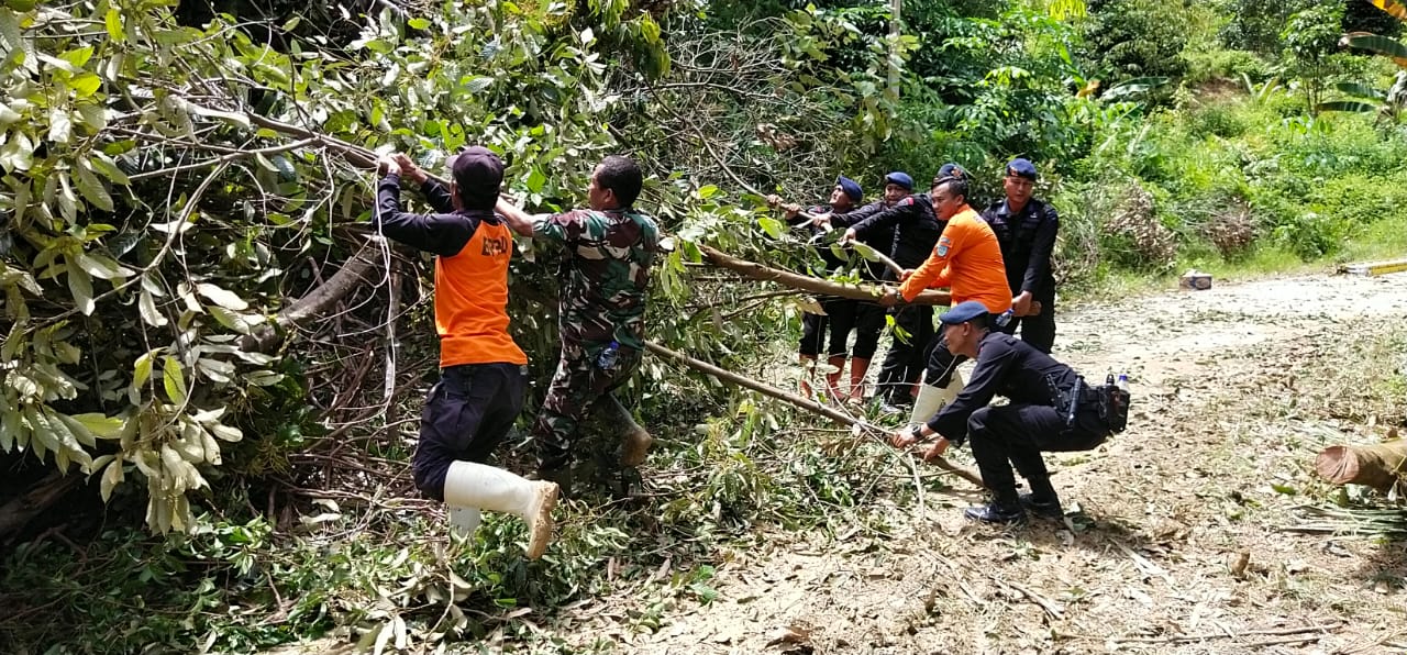 Aksi Cepat Brimob Bersihkan Longsor Dan Pohon Tumbang