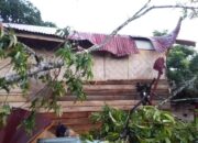 Satu Rumah Warga Tertimpa Pohon Di Bukit Meutuah