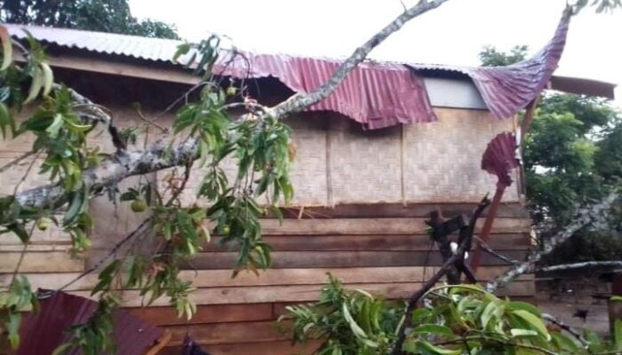 Satu Rumah Warga Tertimpa Pohon Di Bukit Meutuah