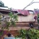 Satu Rumah Warga Tertimpa Pohon Di Bukit Meutuah